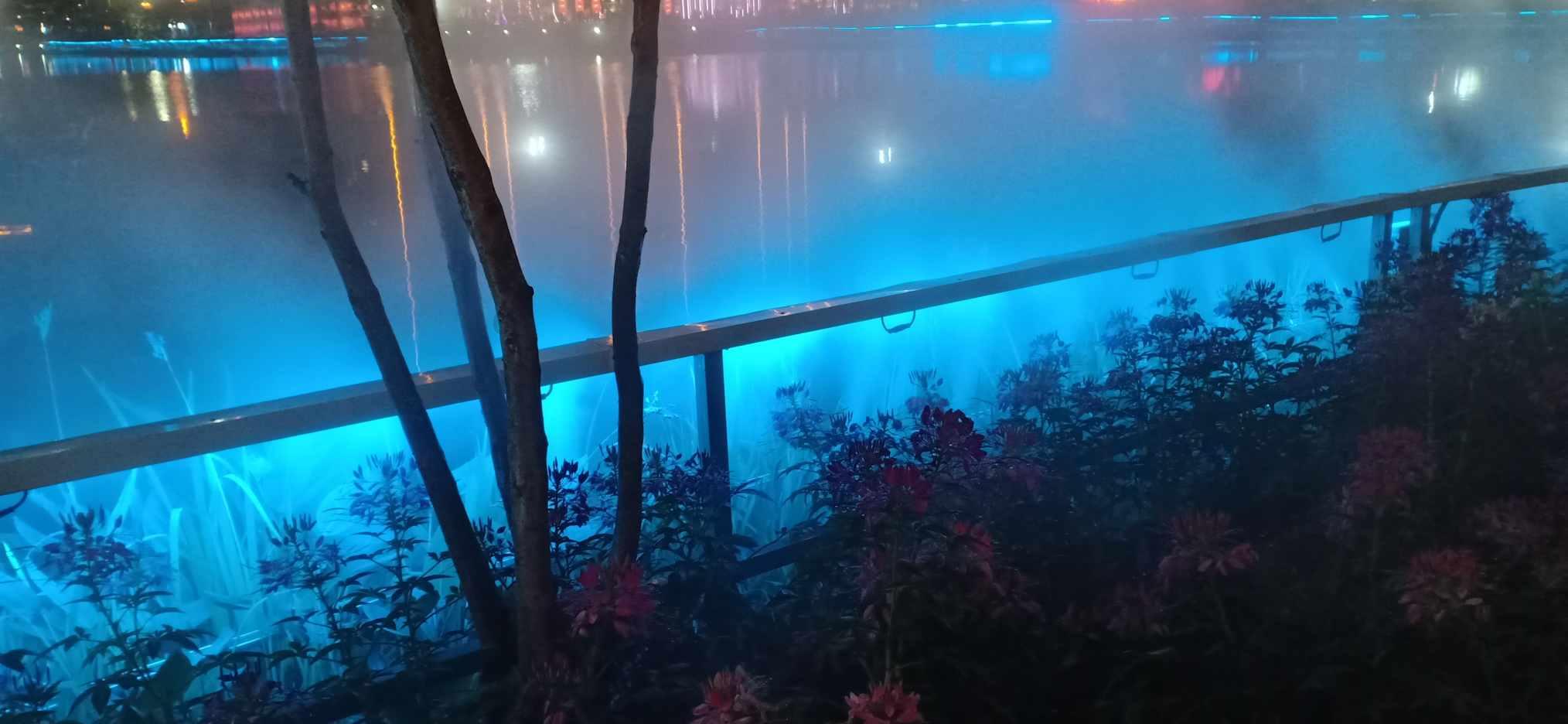 55岁功夫巨星猝死家中,9天后才被发现!妹妹惠英红难辞其咎?